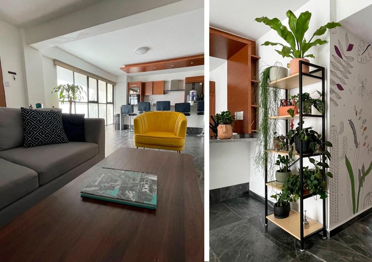 Great Apartment In The Heart Of Coyoacan Ciudad de México Exteriér fotografie