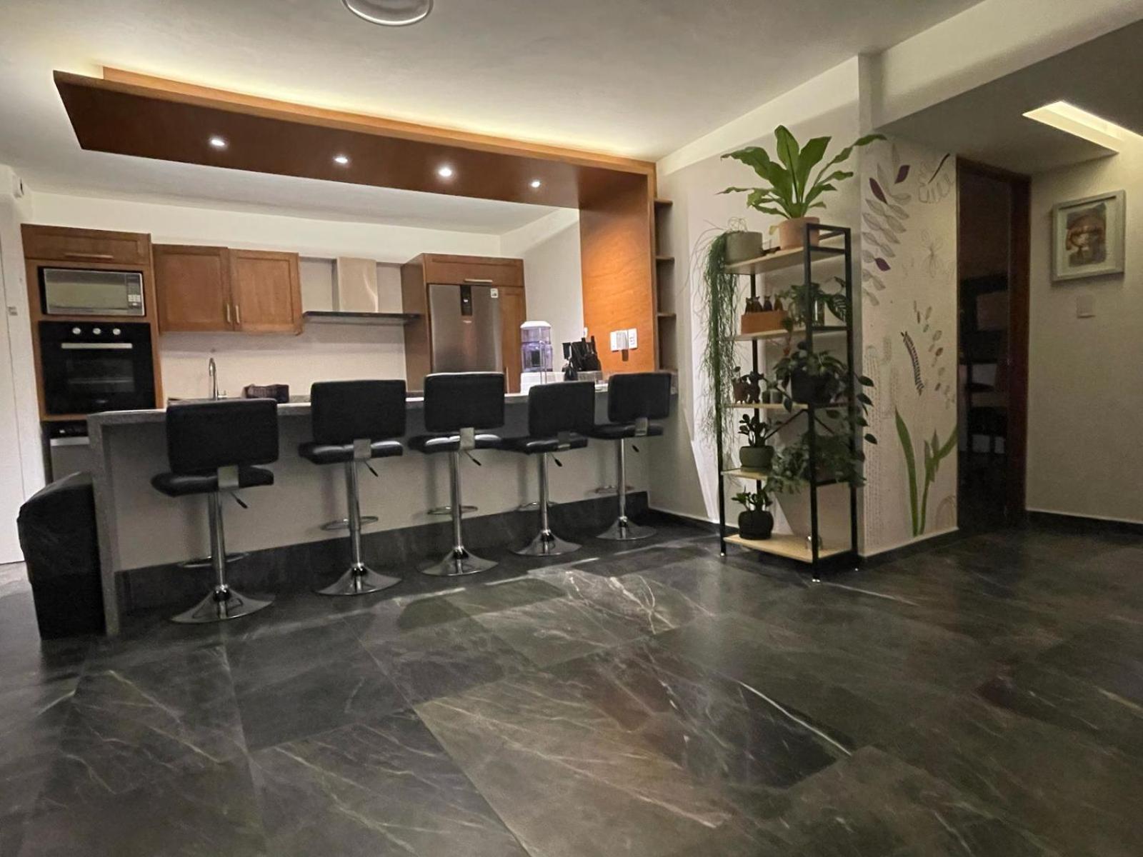 Great Apartment In The Heart Of Coyoacan Ciudad de México Exteriér fotografie