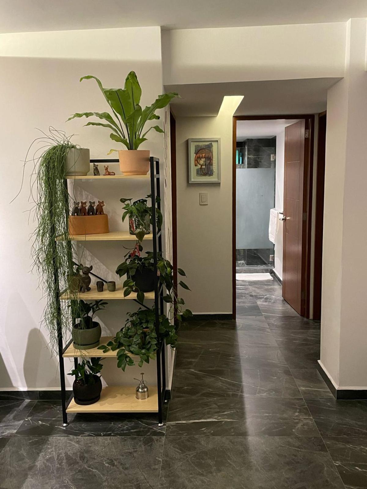 Great Apartment In The Heart Of Coyoacan Ciudad de México Exteriér fotografie