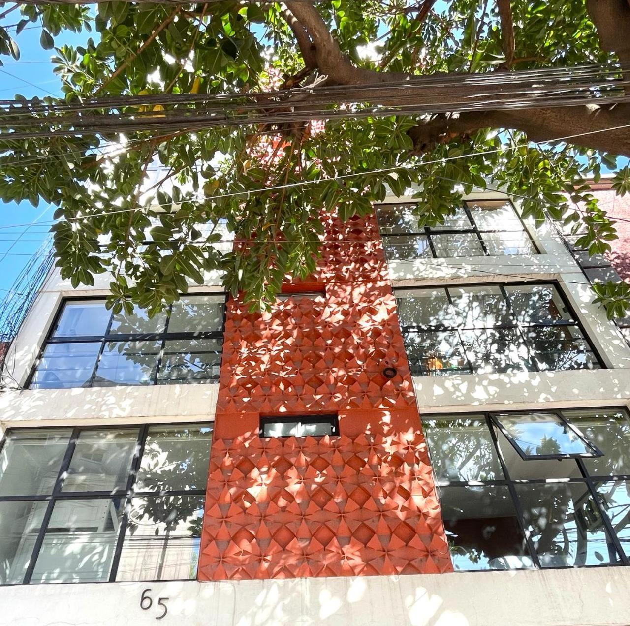 Great Apartment In The Heart Of Coyoacan Ciudad de México Exteriér fotografie